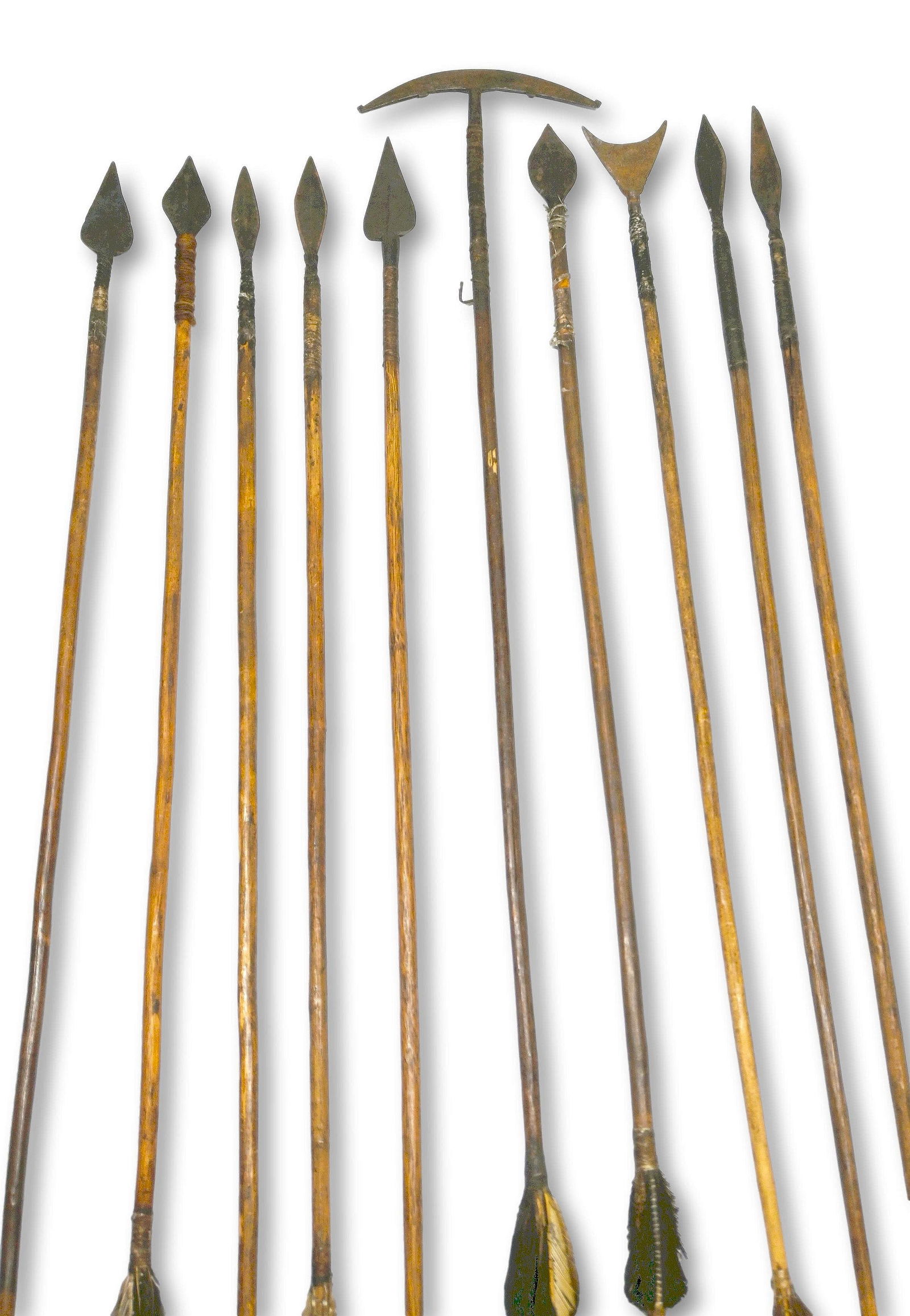 A Collection of 10 Arrows, Field collected 1990 (1 of 8)