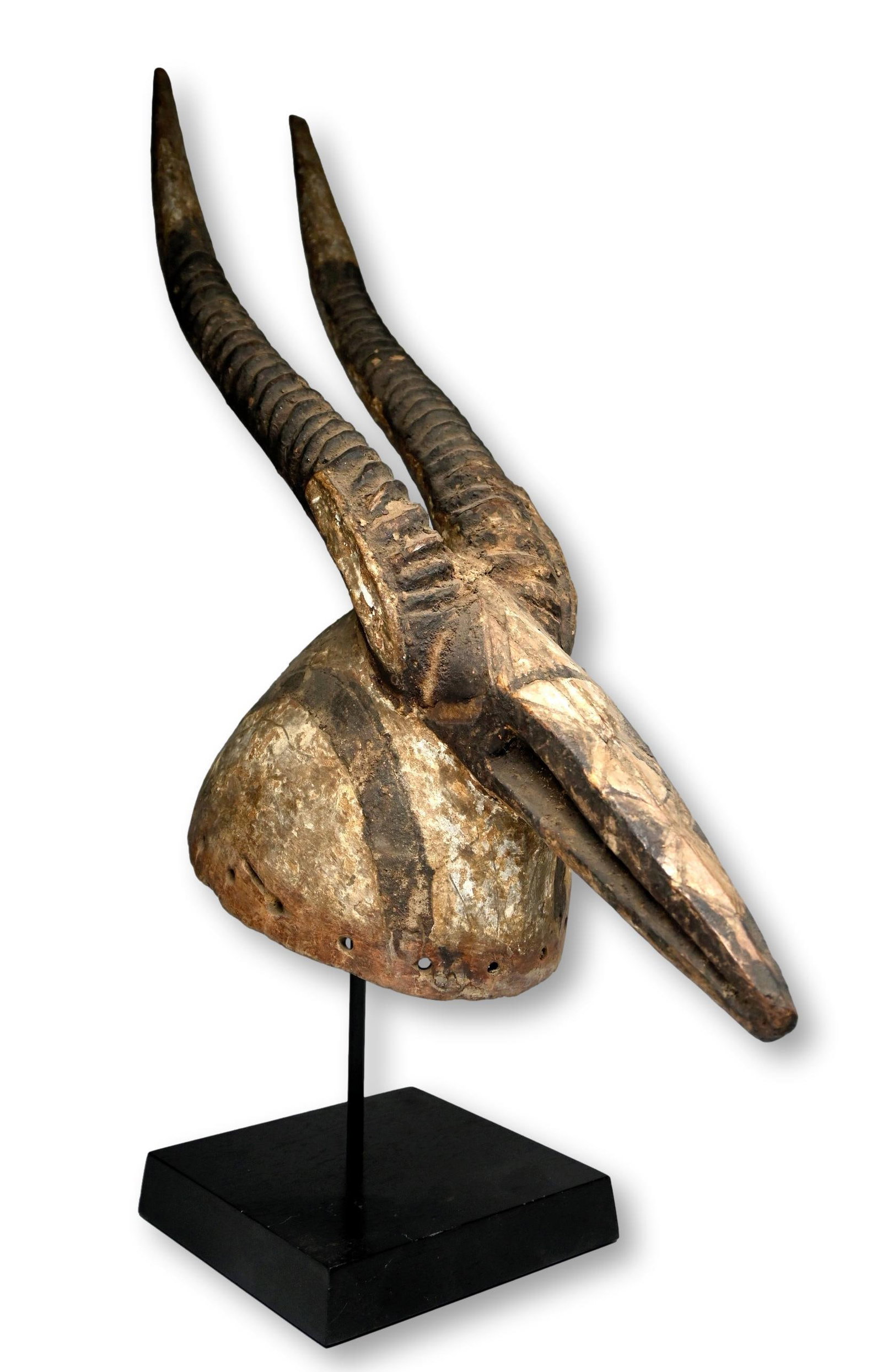 A Mossi Antelope Mask: A Carved wooden zoomorphic mask representing a hybrid antelope and bird, painted in black and white pigments and showing handling and field use. Mossi masks often represent totemic animals associated 