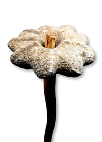 A Fly River Stone Mace Ex George Craig