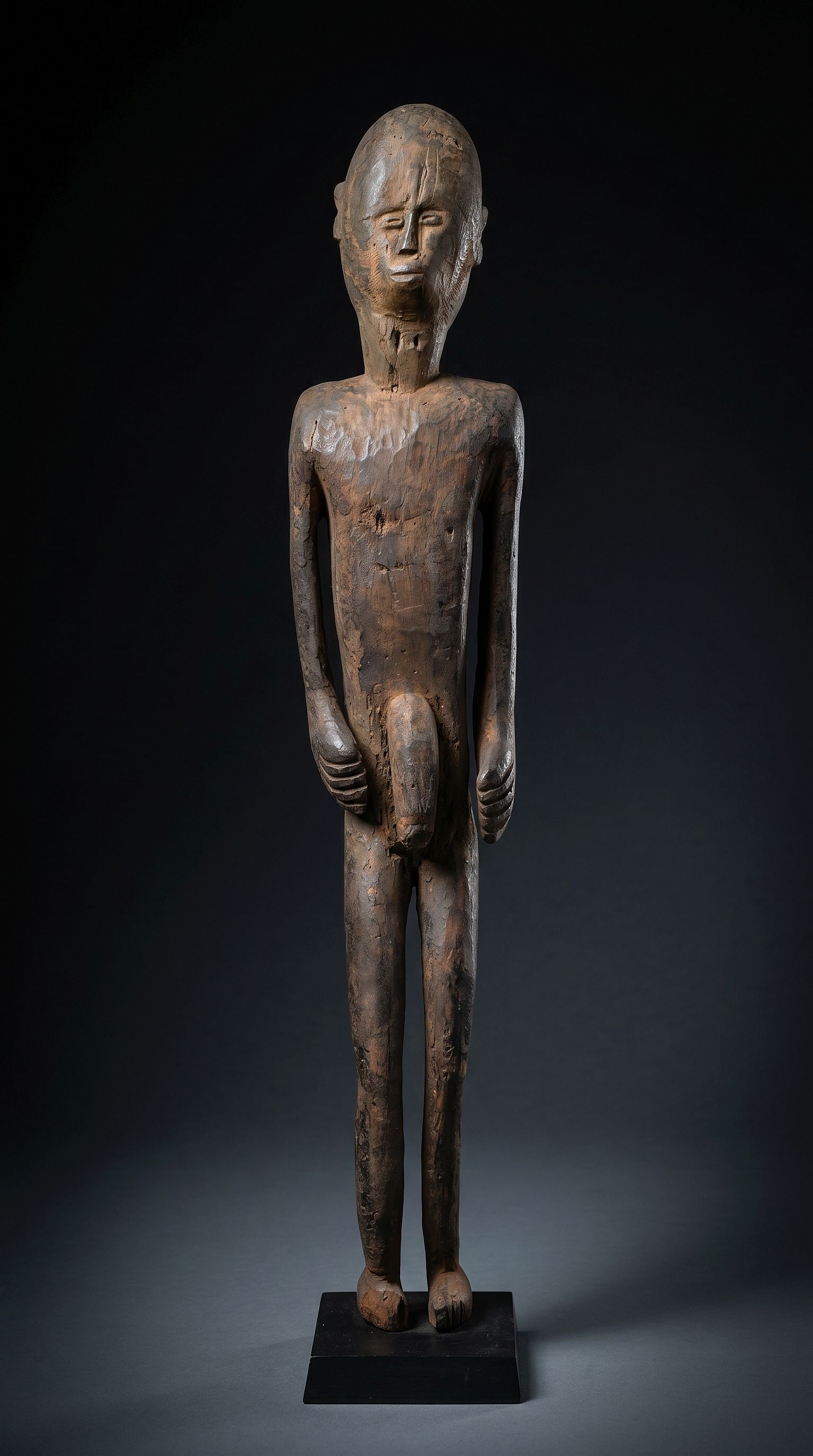 A Fipa Male Ancestor Effify (1 of 1)