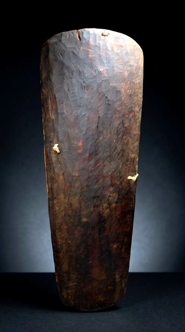 A Mendi Valley Shield (1 of 6)