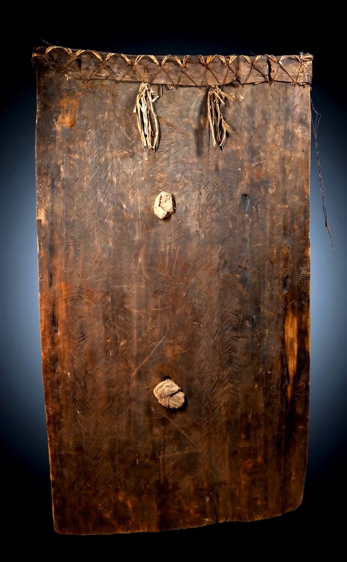 A Rare Awa Shield: A fine Awa shield, Eastern Highlands, Papua New Guinea.A field used war shield of massive form, with blackened wood with bark strap at top tied on with split-cane, the surface overall covered with hun
