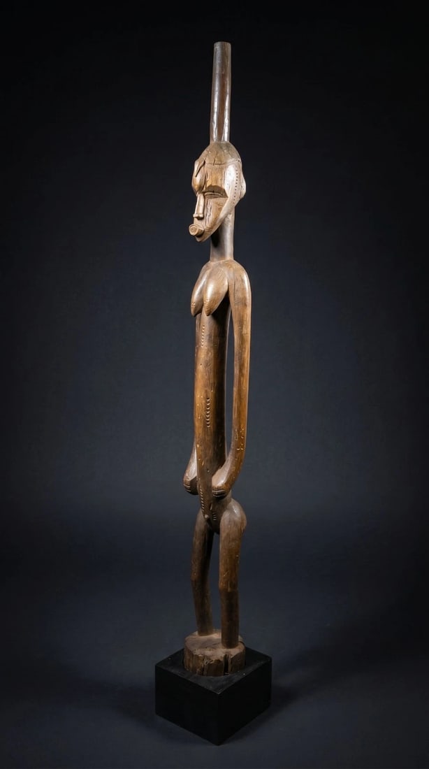 A Senufo Rhythm Pounder (1 of 9)