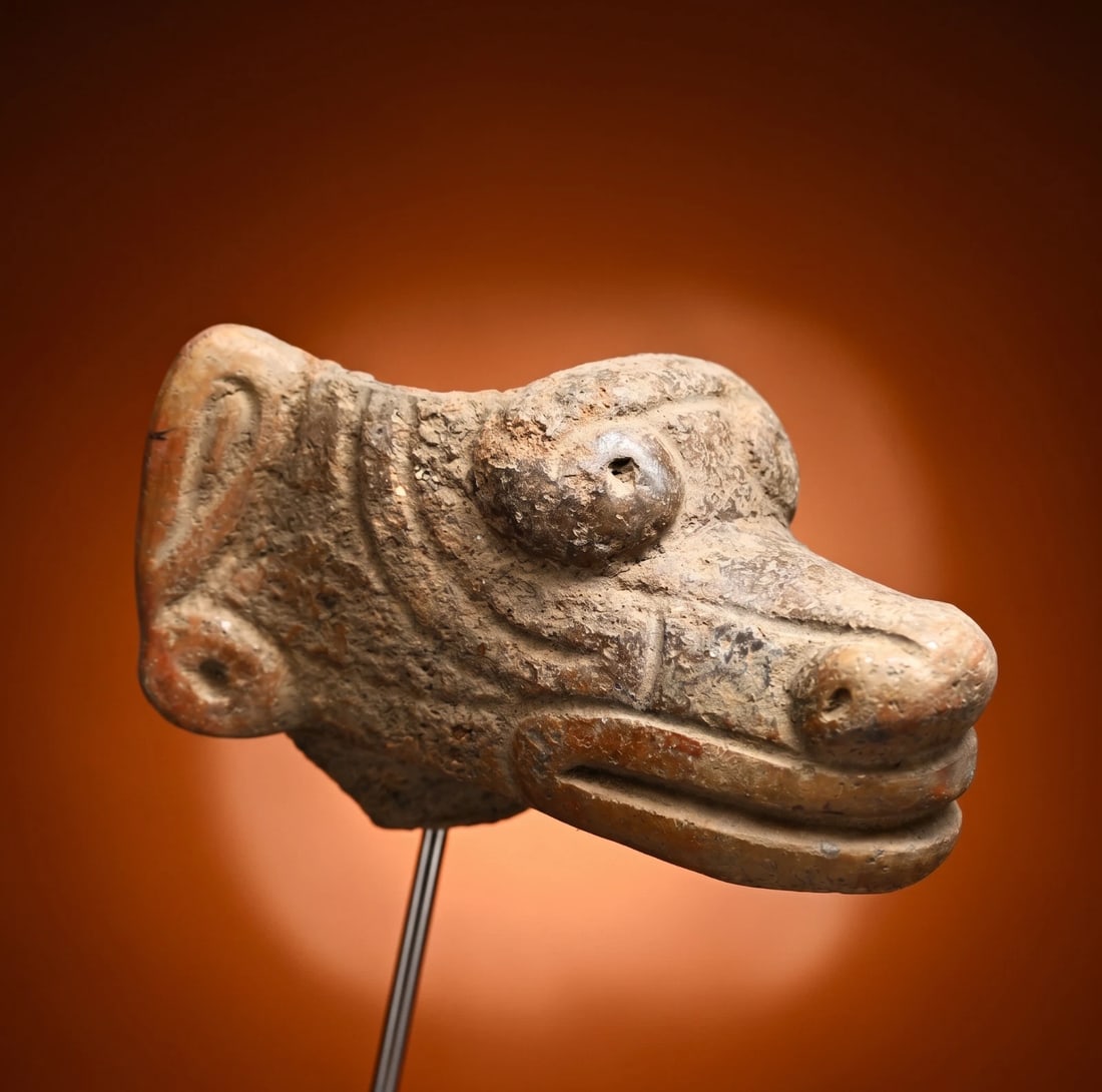 Rare Ancient Canine Sculpture Fragment Venezuela 1000 BC (1 of 7)