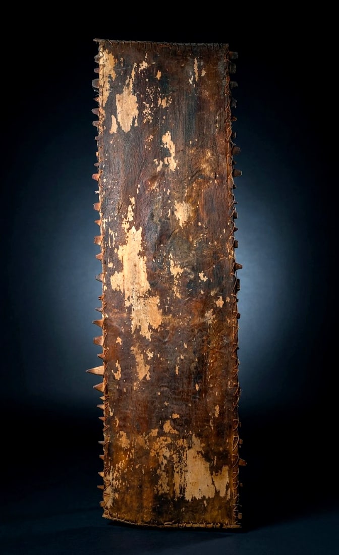 A Rare Enga Bark Shield (1 of 1)