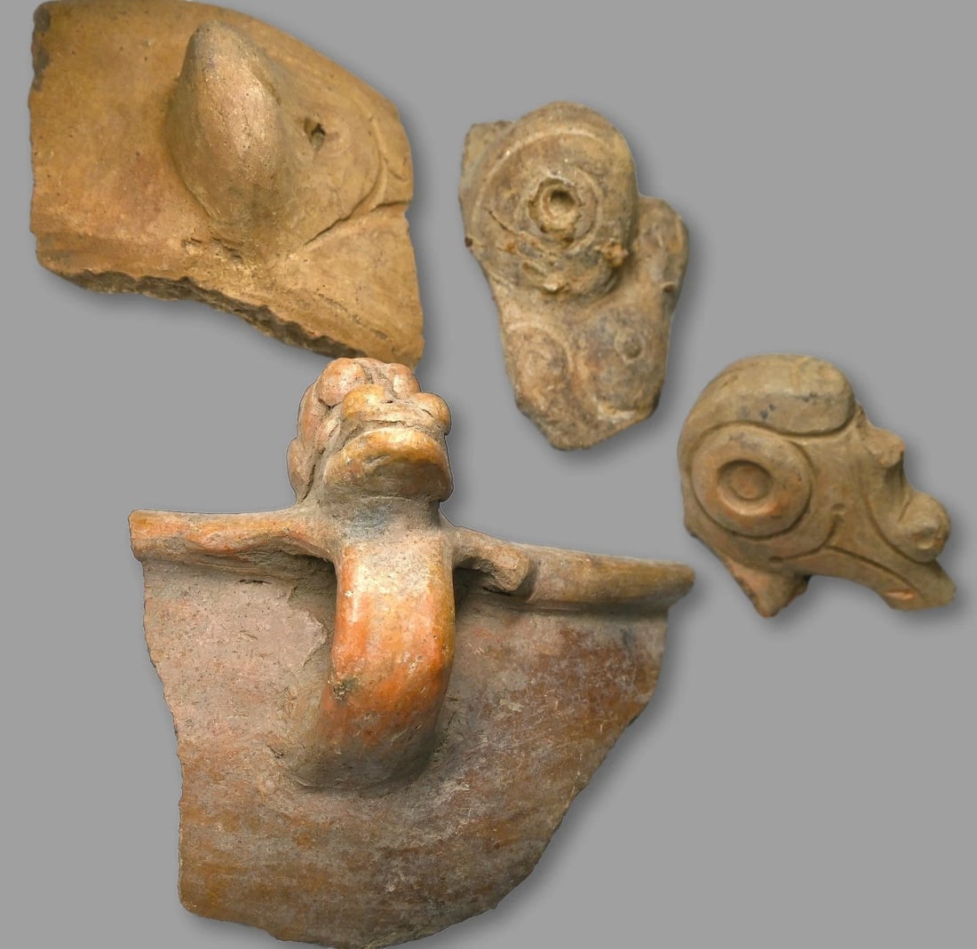 Lot of Four Large Relic Fragments 100 BC from Venezuela: A lot of 4 ancient pottery & sculpture fragments, including a fantastic zoomorphic bird head, all from the Los Barrancos culture of Venezuela , South America, dating back to 1000 BC to possibly 1000 A