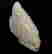 item-54371369=2