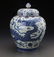 Chinese Blue and White Jar Painted with Dragon Marked