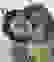 item-51702200=2