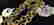 item-50270994=2