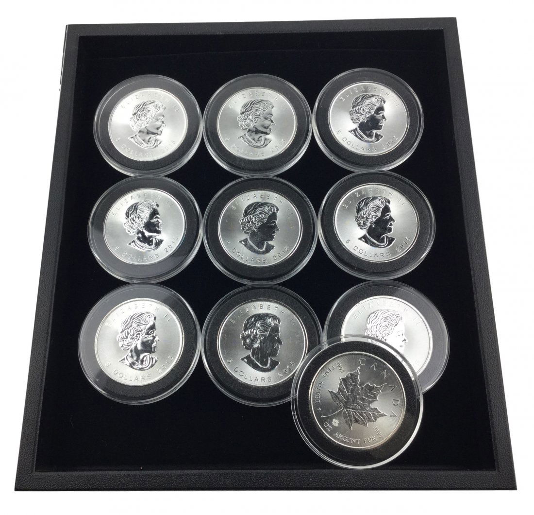 10 One Troy Ounce .999 Fine Silver Coins (1 of 2)