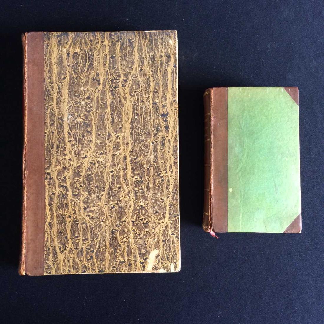2V ANTIQUE LEATHER-BOUND BOOKS Wiquefort Dozy Memoires (1 of 11)
