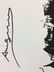 Original Ink on Cardstock Signed ''Andy Warhol'' -- Pop - 3