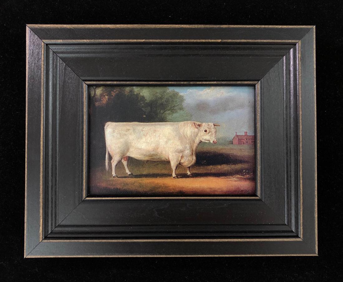 Framed Fine Art Print -- Prize Bull (1 of 4)