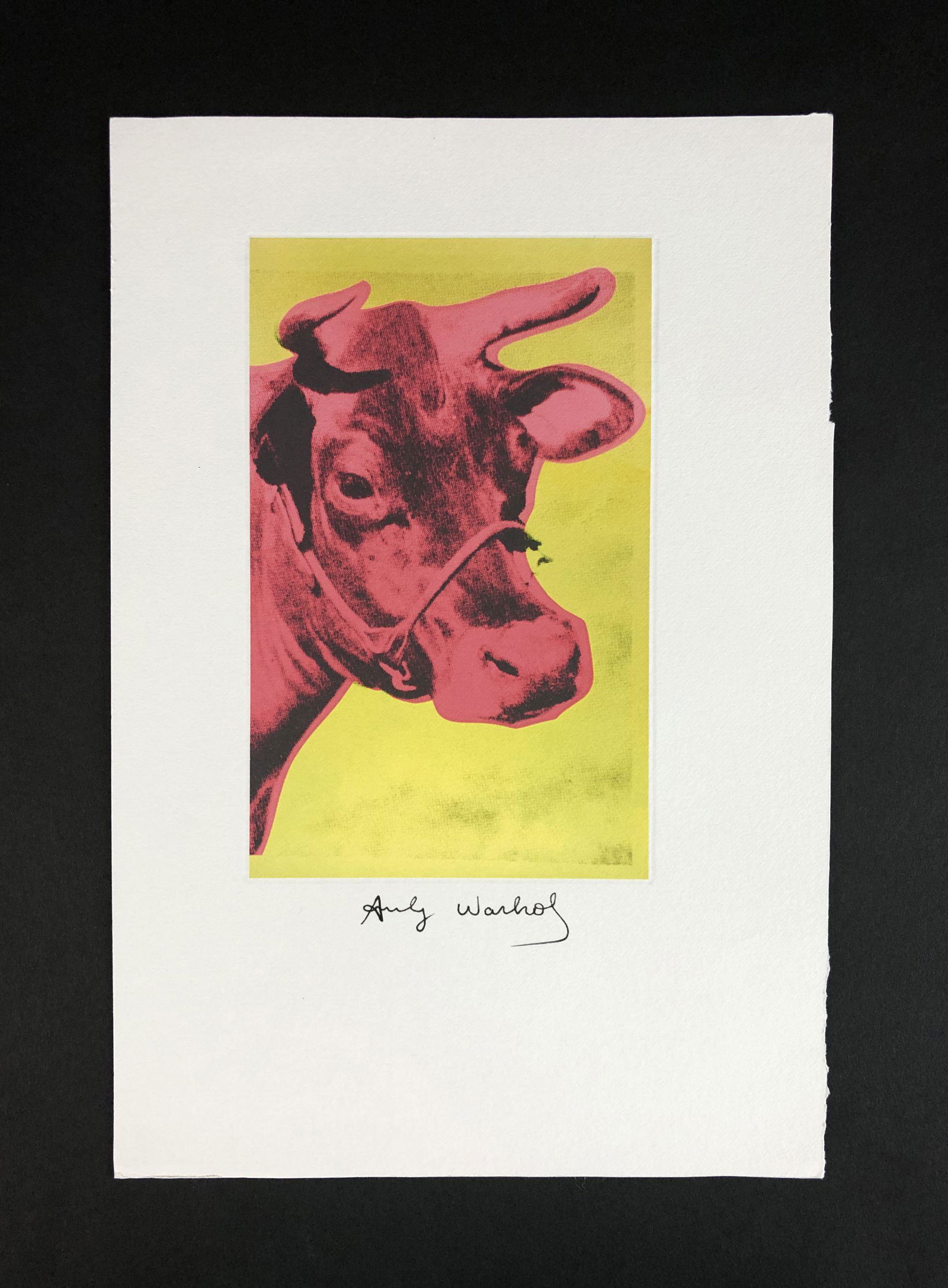 Andy Warhol (1928-1987) - Fine Art Print on Paper (1 of 4)