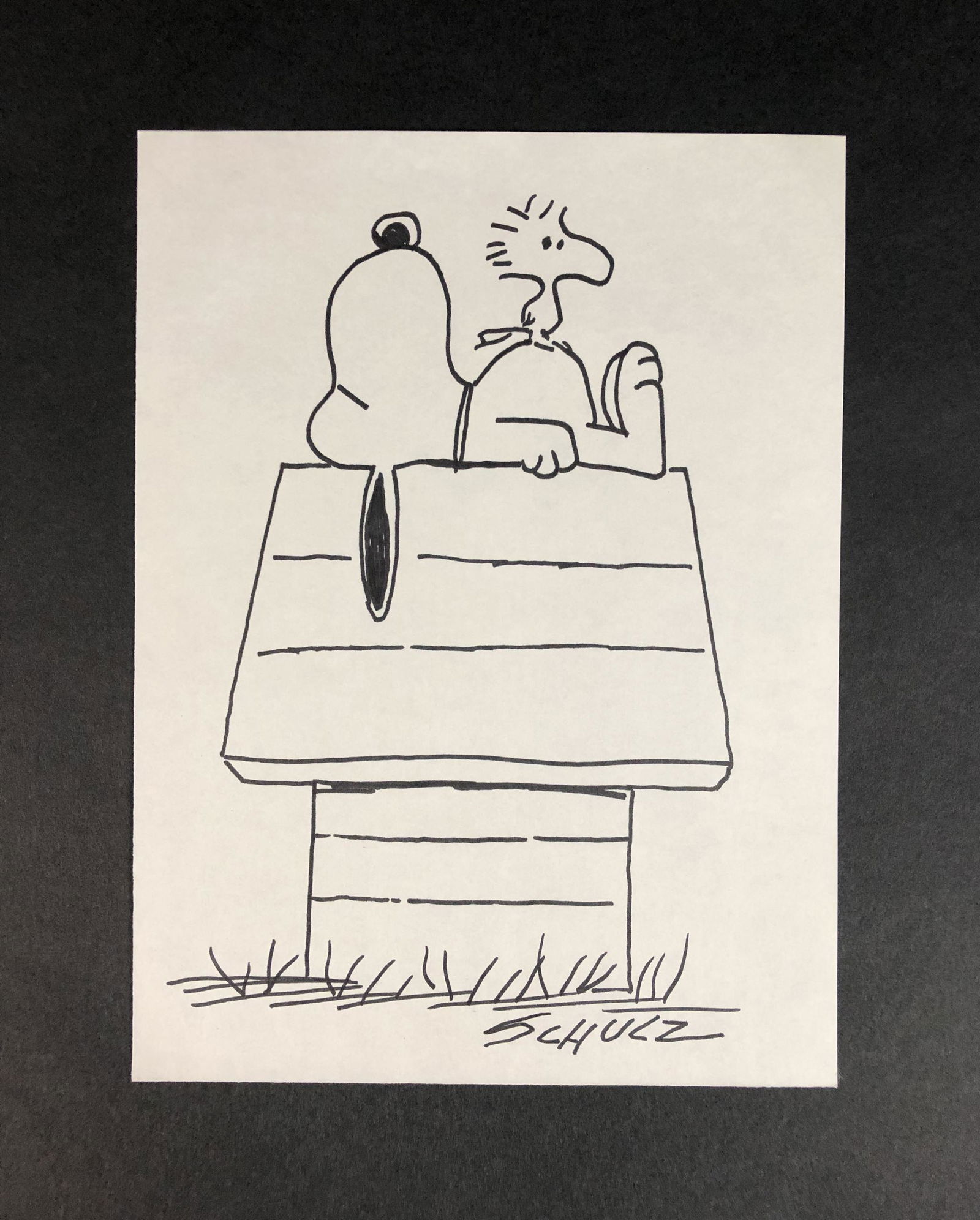 Charles Schulz (American, 1922-2000) - Ink on Paper (1 of 5)