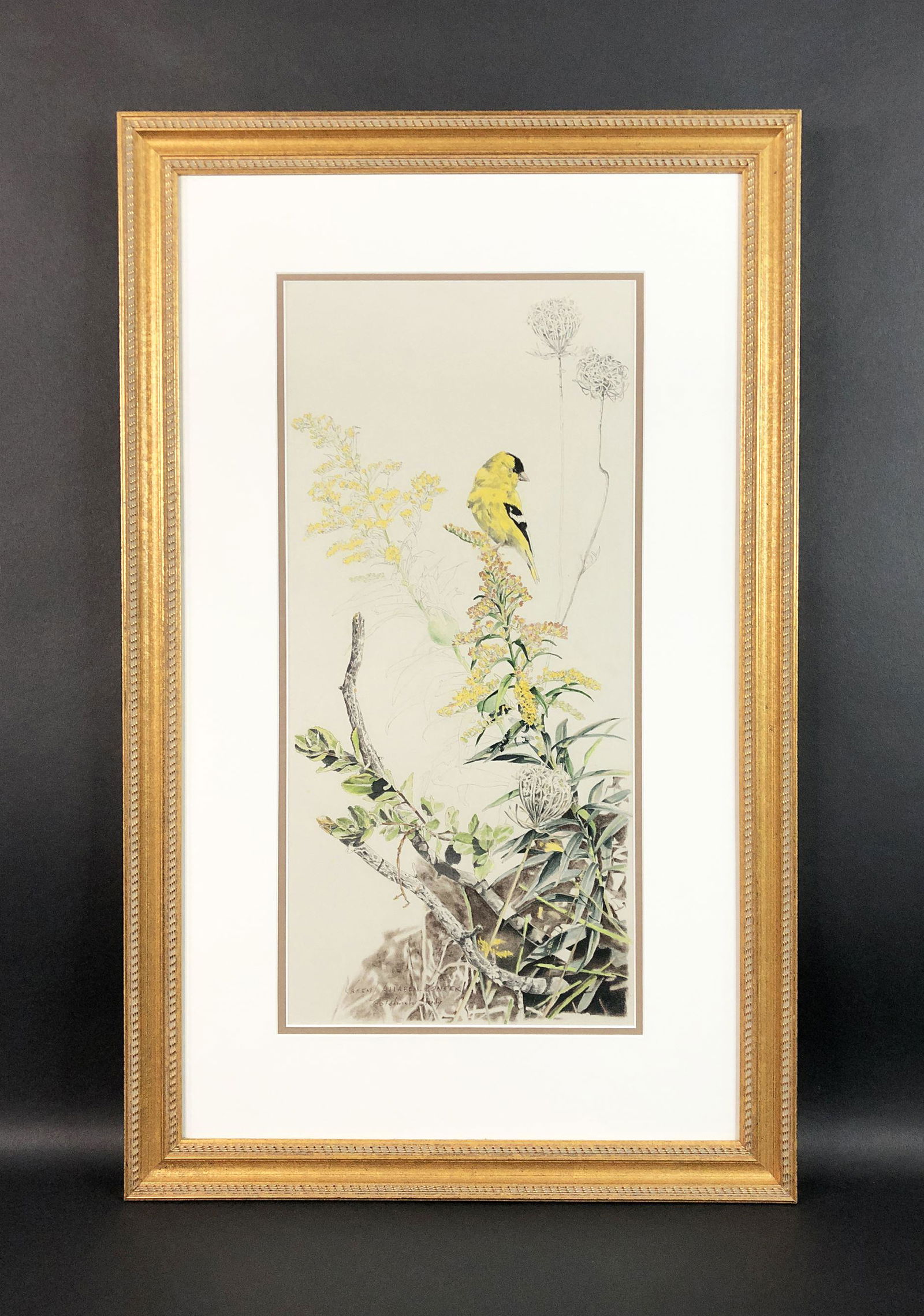 Karen Allaben-Confer (American) - Original Watercolor: This lot consists of a stunningly framed, original watercolor on paper, done by one of the leading wildlife artists of the day, Karen Allaben-Confer (American). Image depicts a goldfinch perched upon