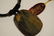 2LBS ASSORERTED TIGERS EYE JEWLERY MIXED , SOME SIGNED - 8