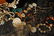 2LB ASSORTED SHELL JEWELRY LOT# 10 - 4