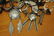 124g 925/STERLING SCRAP & LOOSE STONES MOST SIGNED - 2