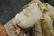 ANTIQUE DOLL DRESS - 9