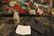 UNSORTED 3LBS COSTUME JEWELRY/14K - 3