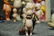 ANTIQUE ALL BISQUE KEWPIE