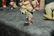 ANTIQUE ALL BISQUE KEWPIE - 2