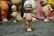 ANTIQUE ALL BISQUE KEWPIE