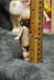 ANTIQUE ALL BISQUE KEWPIE - 3