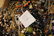 4LB UNSEARCHED~TANGLED~HIDDEN TREASURES - 2