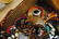 10LBS UNSEARCHED HIDDEN TREASURE LOT - 6