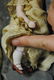 RARE... LOT OF 4 ELEGANT KESTNER.. " ALL BISQUE DOLLS " - 5
