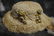 FABULOUS ANTIQUE HAT FOR JUMEAU BEBE