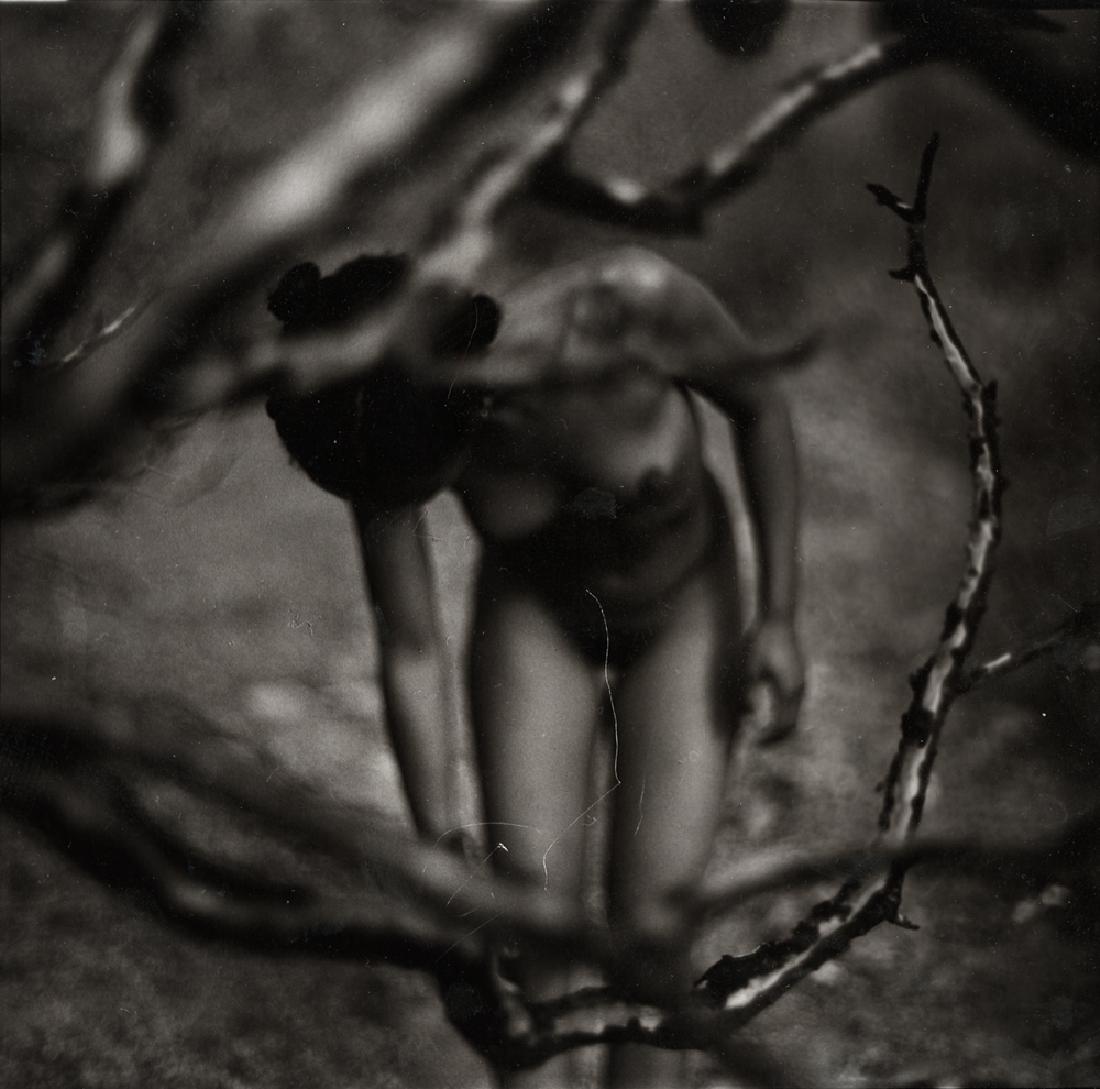 JAMES FEE (1949 - 2006), Untitled nude. Toned silver: JAMES FEE (1949 - 2006), Untitled nude. 8 x 10 - inch sheet, toned silver print., signed on the overmat, dry mounted to a mat with Fee's stamp on the back of the mat, with "Artist Proof" and date "7 -