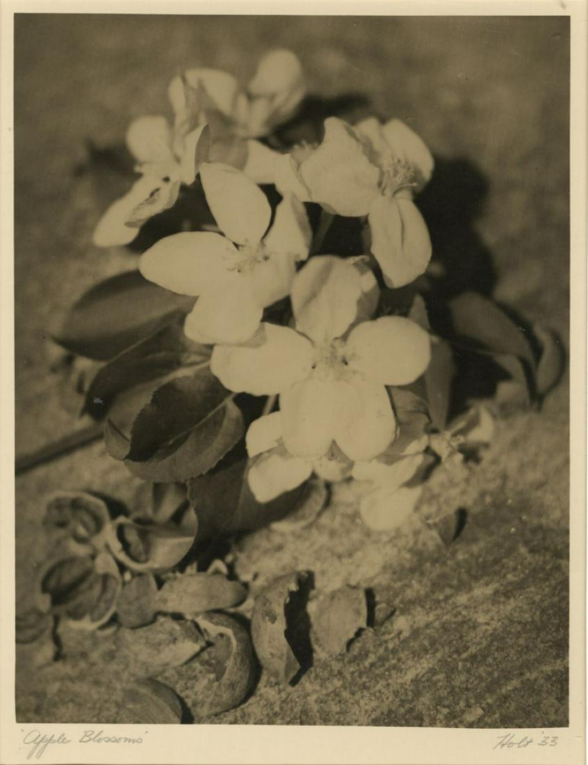 HOLT. TREE TOAD AND FLOWERS, signed and dated 1933. (1 of 5)