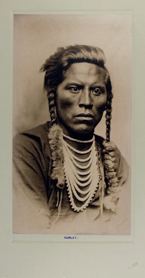 CURLEY (Ash-ish-i-she), Crow, by D.F. Barry, at Fort Cu: CURLEY (Ash-ish-i-she), Crow, by D.F. Barry, at Fort Custer, M.T., ca. 1883. 13 7/16 x 7 1/16 POP print mounted on rough-edged gray paper, in turn mounted on a heavy 21 ¾ x 11 14/16 board with gray-g
