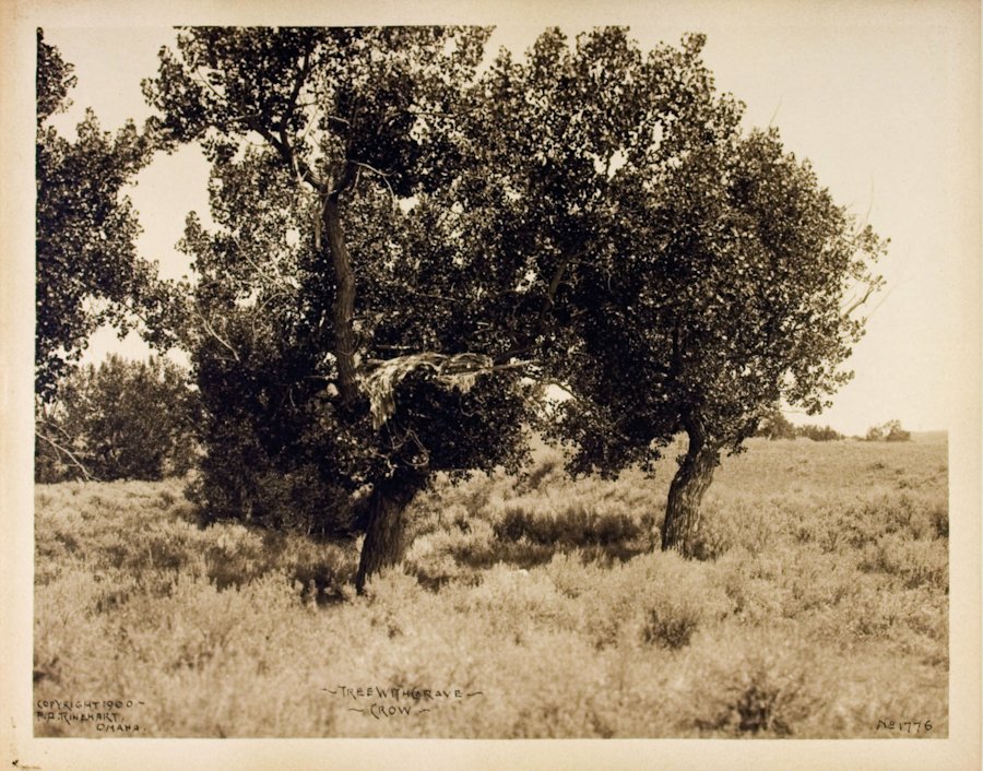 “TREE WITH GRAVE”, near Pryor, Crow Reservation, Montan: “TREE WITH GRAVE”, near Pryor, Crow Reservation, Montana, July, 1899. Unmounted 7 3/8 x 9 ¼ platinotype. “Copyright 1900 - / F.A. Rinehart, / Omaha.-Tree With Grave- / -Crow- No1776” [in neg]