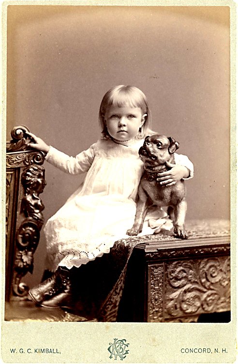 Pug dogs. 3 cabinet cards.: Pug dogs. 3 cabinet cards. a) A girl beside a pug who sits on a table. Above the dog is a text in the negative “Compliments of Fred L. Merrill Jewelers.” This is Merrill’s daughter Grace May and