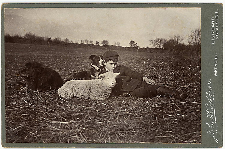 A boy reclines in a field with a dog and a sheep.: A boy reclines in a field with a dog and a sheep. A beautiful photograph by John H. Coath, Liskeard & St. Austell, Cornwall.
