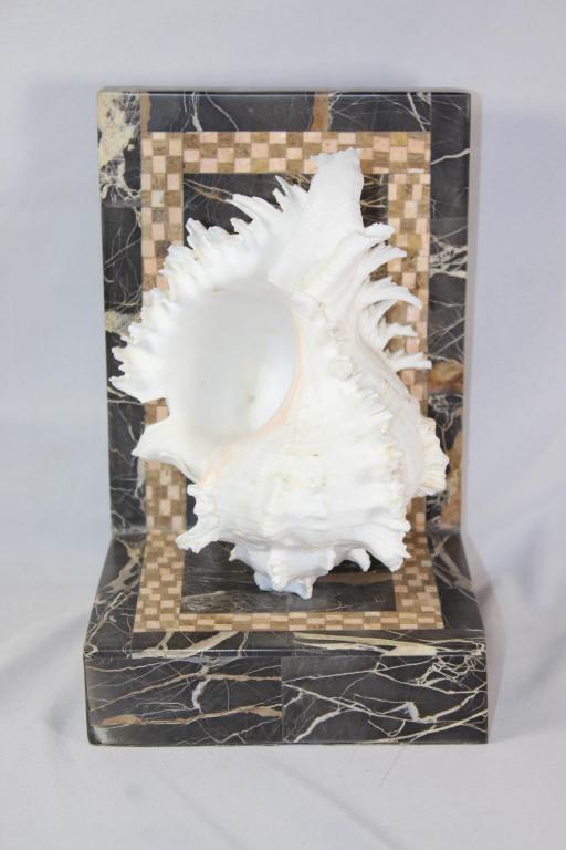 CONCH SHELL BOOK END/DOOR STOP: MEASURES APPROX. 10 BY 7 BY 7 INCHES. AS PICTURED