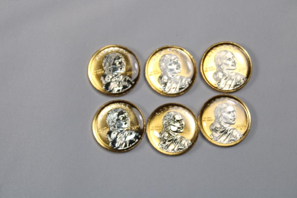 Platinum & Gold Highlighted Sacagawea Dollars (1 of 2)