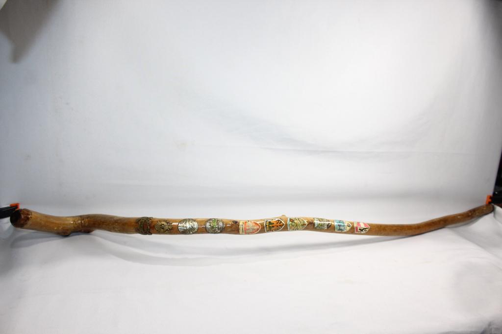 VINTAGE HAND MADE GERMAN WALKING STICK/CANE&BADGES (1 of 7)