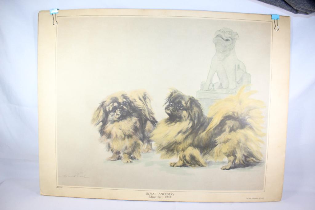 Large Pekingese Litho signed Maud Earl 1903 (1 of 7)