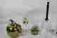 item-131519843=3