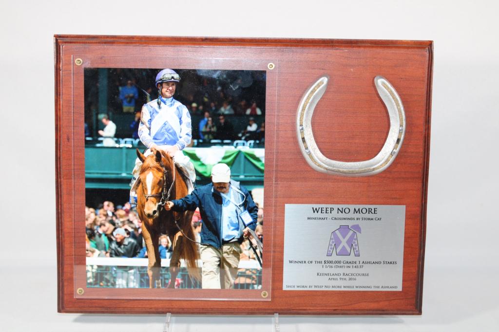 Weep No More Shoe Worn in Ashland Stakes 2016: Weep No More Shoe Worn in Ashland Stakes April 9, 2016 at Keeneland Racecourse. Worn during her win. Includes provenance. Measures about 17 inches by 13 inches