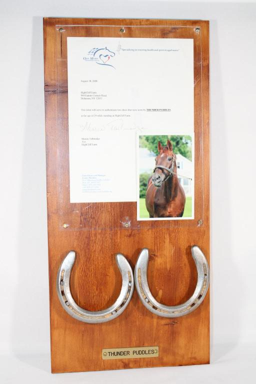 Horseshoes worn by Thunder Puddles High Cliff Farm: Pair of Shoes worn by Thunder Puddles while at High Cliff Farm w/ COA measues about 24 inches by 11 inches