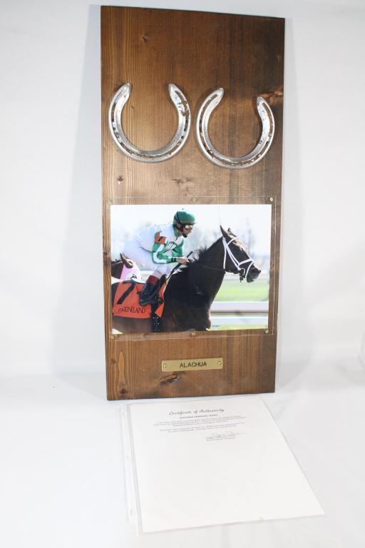 Training Shoes worn by Alachua at Keeneland w/ COA: Pair of Training Shoes worn by Alachua at Keeneland Racecourse in Lexington KY with COA.