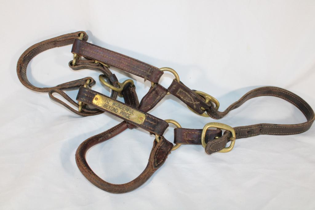 Tiz Wonderful Beyond Price Leather Halter (1 of 2)