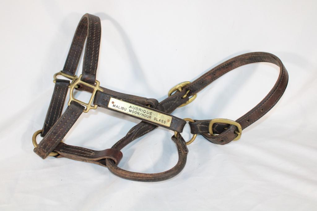 Audrique Malibu Moon/Hour Glass Horse Halter (1 of 2)